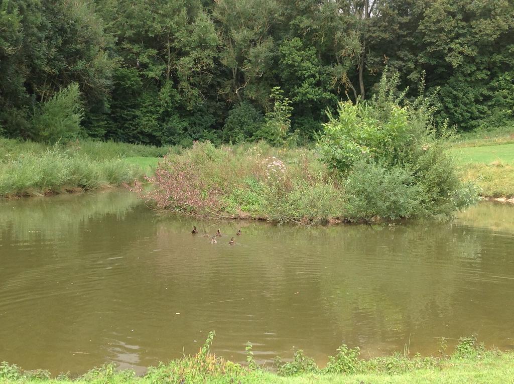 Le Colombier De La Graverie Senots ภายนอก รูปภาพ