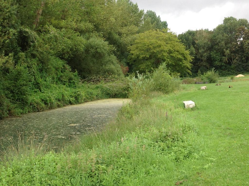 Le Colombier De La Graverie Senots ภายนอก รูปภาพ